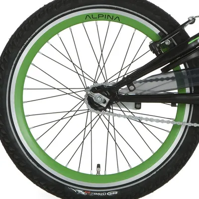 Zdjęcie produktu dla Tylne koło Alpina 20 Remove J19DB Green Black SPK