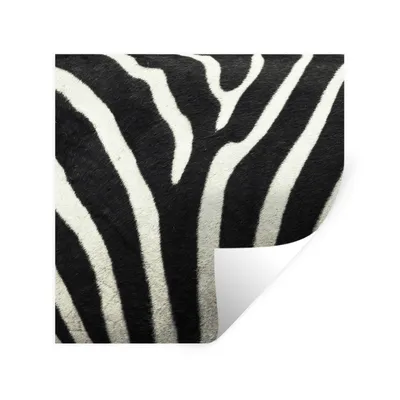 Produktbild von MuchoWow® Wandtattoo Wandsticker Wandaufkleber Tiermuster - Zebra - Schwarz - Weiß 80x80 cm Selbstklebend und Repositionierbar - Wierderverwendbar - Selbstklebend