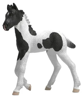 Produktbild von schleich 81481, 3 Jahr(e), Mehrfarbig, Kunststoff