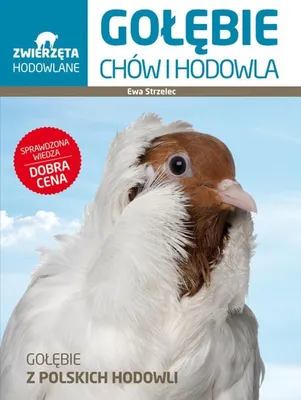Zdjęcie produktu dla Golebie Chow i hodowla