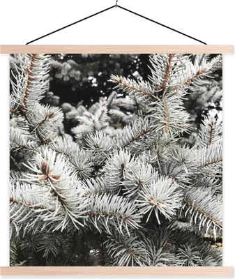 Produktbild von MuchoWow® Textilposter Baum - Äste - Winter 60x60 cm mit holzfarbenen Rahmen - Wanddekoration