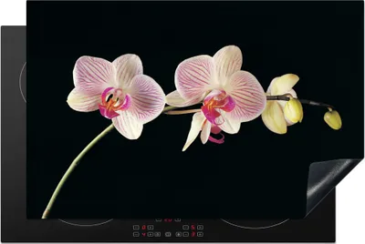 Produktbild von KitchenYeah© Herdabdeckplatte Orchidee - Blumen - Schwarz - Rosa - Knöpfe , 80x52cm, Küche Deko, Glaskeramikkochfeld Herdabdeckung, Abdeckplatte fùr Kochfeld