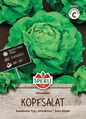 Produktbild von SPERLI Salatsamen Attraktion Lactuca sativa 150 Pflanzen