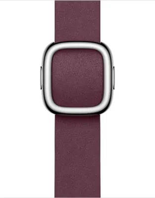 Immagine prodotto di Apple MUH83ZM/A Cinturino Modern per Apple Watch 41 mm M Poliestere Bacca