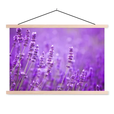 Produktbild von MuchoWow® Textilposter Lavendel - Nahaufnahme - Blumen - Lila 120x80 cm mit holzfarbenen Rahmen - Aufhängeset