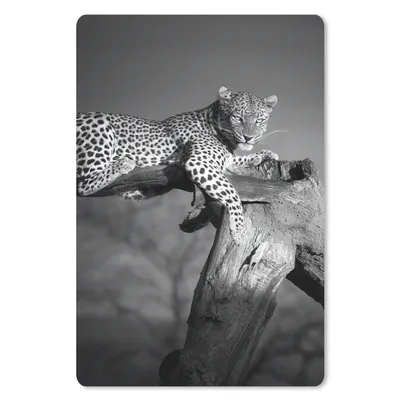 Produktbild von MuchoWow® Mauspad Mousepad Panther - Baum - Tiere - Schwarz - Weiß 18x27 cm - Mousepads - Maus Mat - Pad - Mausunterlage