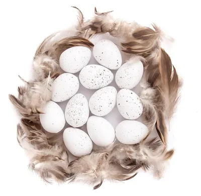 Imagen del producto de Huevos de codorniz, plumas blancas, 12 unidades - Dalprint dpCraft