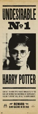 Produktbild von Poster Tür harry potter unerwünscht n§1