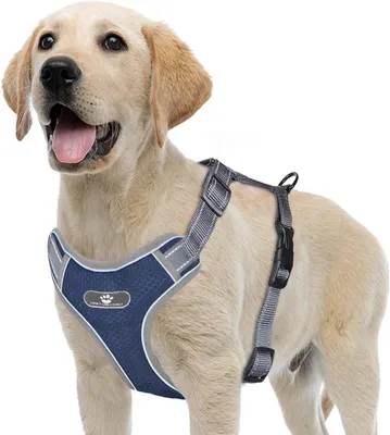 Imagen del producto de Arnés para perros anti-tirones, transpirable, ajustable, con reflectantes, disponible en diferentes tallas, para
