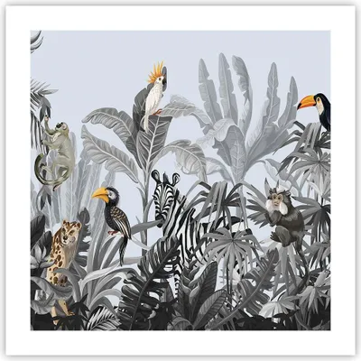 Produktbild von Poster - Poster ohne Rahmen - Dschungel Tiere Tukane - 50x50 cm - Wand Bild - Wanddeko - Wandbilder - Kunstposter - Wandposter - Bilder - Kunstdruck - Wanddekoration - Wandbild - P2XAC50x50-4662