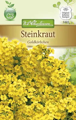 Produktbild von Steinkraut Goldkörbchen | Steinkrautsamen von N.L. Chrestensen