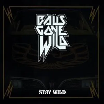 Produktbild von Stay Wild (CD Digipak)