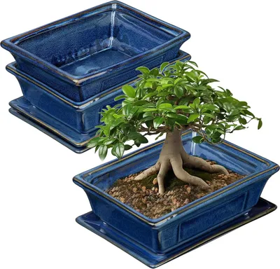 Produktbild von Keramische Bonsai-Topf-Set, 19 cm
