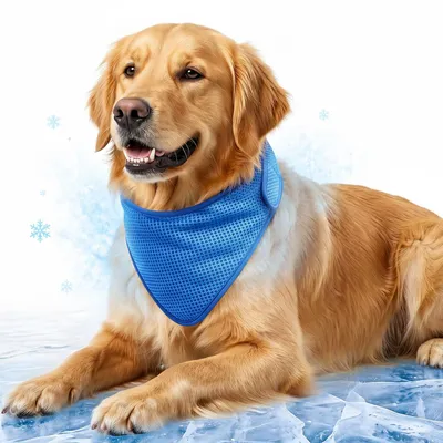 Produktbild von Hund Kühlbandana, atmungsaktiv, XL, Kühlender Halswickel für Hunde