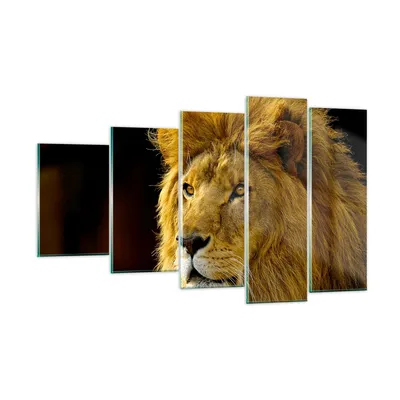 Produktbild von Bilder auf glas - Löwe Tiere Tierwelt - 100x60cm - Glasbilder - Wandbilder - Kunstdruck - zum Aufhängen bereit - Wanddekoration aus Glas - Glas Bilder - Wandbild auf Glas - 5 Teile - GEG100x60-1237