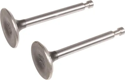 Obrázek produktu pro Ventily motoru Loncin cpl. LC170FDS ORIGINÁLNÍ DÍL 500550130-0001