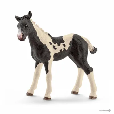 Obrázek produktu pro Schleich 13803 Figurka hříběte pinta s typickou piebaldovou srstí