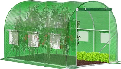 A green polyethylene tunnel greenhouse with tomato plants and lettuce growing inside.