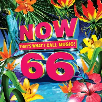 Obrázok produktu pre Various: Now Thats What I Call Music! Vol. 66