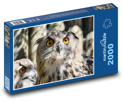 Zdjęcie produktu dla Puzzle 2000 Sowa z pomarańczowymi oczami - martinpuzzle