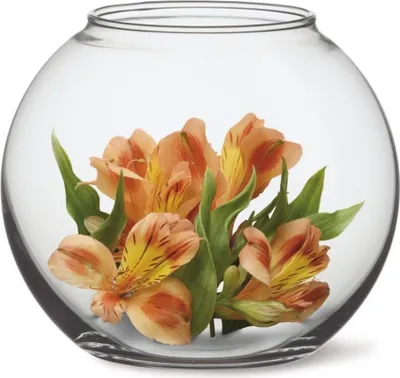 Image de vase d21,5x19,5cm, GLOBE (koule) VA SIMAX_EXTPLASTIMEX