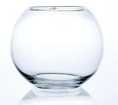 Produktbild von Sandra Rich 1710-25-99, andere, Transparent, Tisch, Drinnen, 205 mm, 250 mm