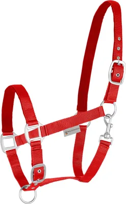 Produktbild von Waldhausen Perlonhalfter Satin Rot VB