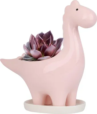 Zdjęcie produktu dla Ceramiczna doniczka z dinozaurem dla kaktusów i sukulentów - Unikalny design dla domu i ogrodu