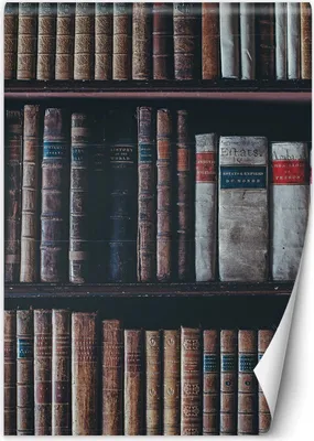 Produktbild von Vlies fototapete Bibliotheksbuch 150x210 cm Feeby Braun inkl. Kleber einfache Montage