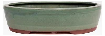 Produktbild von Bonsai - Ovale Schale 31,5 x 24,5 x 8,3 cm grün