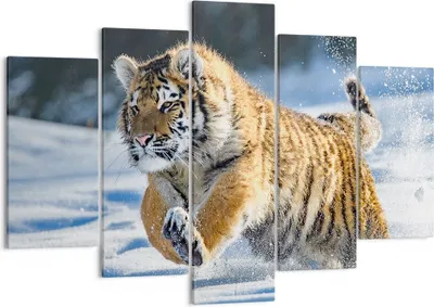 Produktbild von Bild auf Leinwand - Leinwandbild - tiger tier - 150x100cm - Wand Bild - Wanddeko - Wandbilder - Leinwanddruck - Bilder - Kunstdruck - Wanddekoration - Leinwand bilder - Wandkunst - EA150x100-3928
