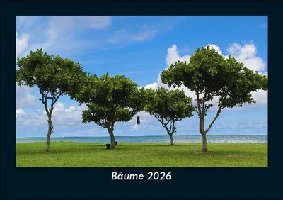 Produktbild von Bäume 2026 Fotokalender - Querformat DIN A5, Monatskalender mit Bild-Motiven aus Fauna und Flora, Natur, Blumen und Pflanzen