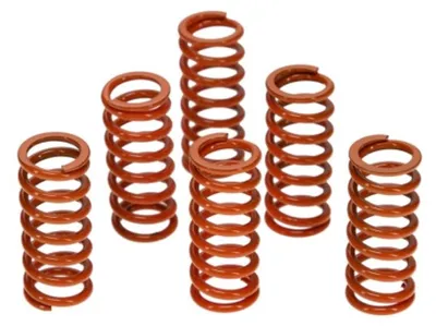 Obrázek produktu pro Spojkové pružiny Prox 450/520/525Sx+Exc 17.CS65041