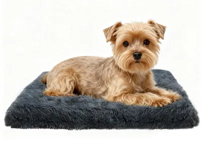 Image de Lit orthopédique moelleux pour chiens, avec housse amovible