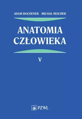 Produktbild von Anatomia człowieka. Tom 5