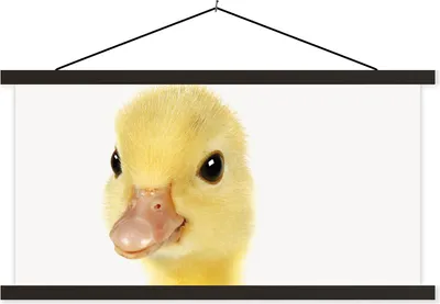 Produktbild von MuchoWow® Textilposter Ente - Küken - Süß - Kinder - Mädchen - Jungen 60x30 cm mit schwarzem Rahmen - Textilien
