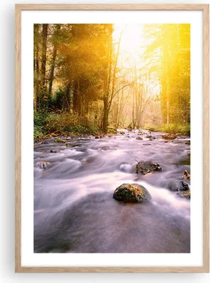 Produktbild von Gerahmtes Poster - Rahmen in heller Eiche - Herbst Wald Berg Fluss - 50x70 cm - Wand Bild - Wanddeko - Wandbilder - Wandposter - Bilderrahmen - Bilder - Kunstdruck - Wandbild - P2NPA50x70-0504