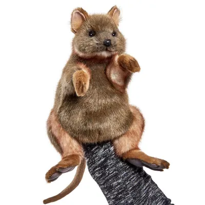 Produktbild von Hansa Creation - Kuscheltier - Handpuppe Quokka