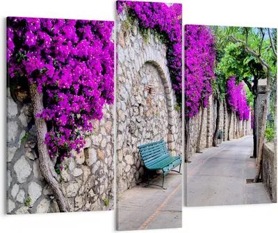 Produktbild von Bild auf Leinwand - Leinwandbild - Pflanzen Bank Straße Sommer - 95x80cm - Wand Bild - Wanddeko - Leinwanddruck - Bilder - Kunstdruck - Wanddekoration - Leinwand bilder - Wandkunst - CB95x80-2790