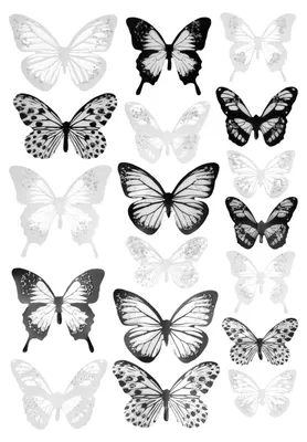 Image de 18 papillons décoratifs en 3D - Noir et blanc