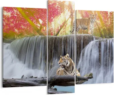 Produktbild von Bild auf Leinwand - Leinwandbild - Tiger natur tier paradies - 95x80cm - Wand Bild - Wanddeko - Leinwanddruck - Bilder - Kunstdruck - Wanddekoration - Leinwand bilder - Wandkunst - CB95x80-2396