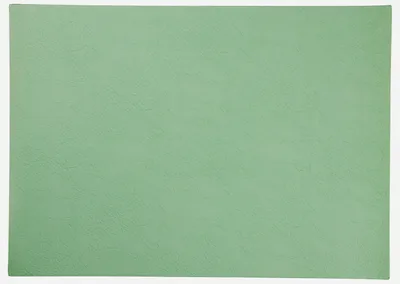 Produktbild von ASA vegan leather Tischset basil 46x33cm
