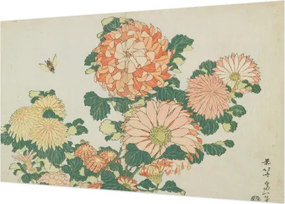 Produktbild von Selbstklebende Fototapete - Wandbilder für Wohnzimmer - 416x254 - Dekorative Wandfolie - Modernes Design für Wanddekoration - Tapeten für Innenräume - Chrysanthemenblüten