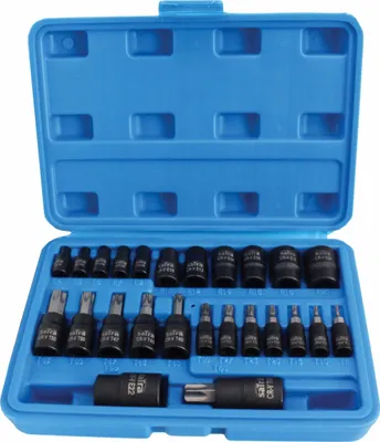 A blue plastic case containing a set of Torx bit sockets.