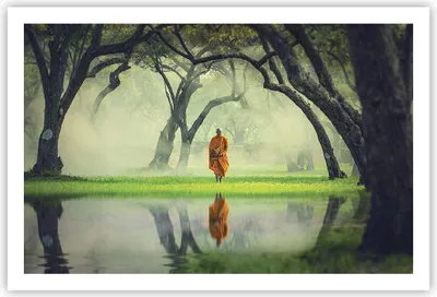 Produktbild von Poster - Poster ohne Rahmen - Mönch Wald Nebel - 91,5x61 cm - Wand Bild - Wanddeko - Wandbilder - Kunstposter - Wandposter - Bilder - Kunstdruck - Wanddekoration - Wandbild - P2XAA91x61-4286