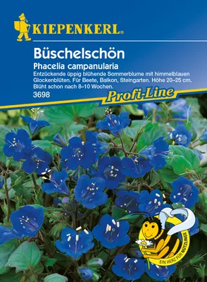 Produktbild von KIEPENKERL Phacelia campa.Büschels.