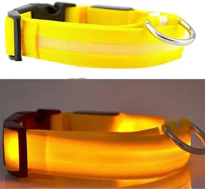 Produktbild von CHPN - Leuchthalsband - Halsband mit Beleuchtung - LED-Halsband - Hundehalsband - Halsband - Gelb - XS - Tierhalsband - Halsband - Hund im Dunkeln sichtbar