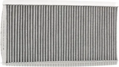 Produktbild von RIDEX 424I0516 Innenraumfilter Pollenfilter passend für MERCEDES-BENZ A-Klasse (W169) Aktivkohle