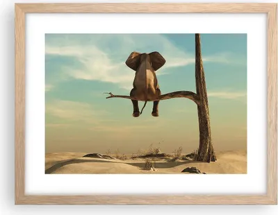 Produktbild von Gerahmtes Poster - Rahmen in heller Eiche - Elefant sitzend Ast - 40x30 cm - Wand Bild - Wanddeko - Wandbilder - Kunstposter - Wandposter - Bilderrahmen - Bilder - Kunstdruck - P2NAA40x30-4557