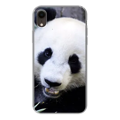 Produktbild von MuchoWow® Handyhülle Schutzhülle Hülle für iPhone XR Panda - Tier - Blätter Silikon Softcase Handy Hülle - Schutzdeckel